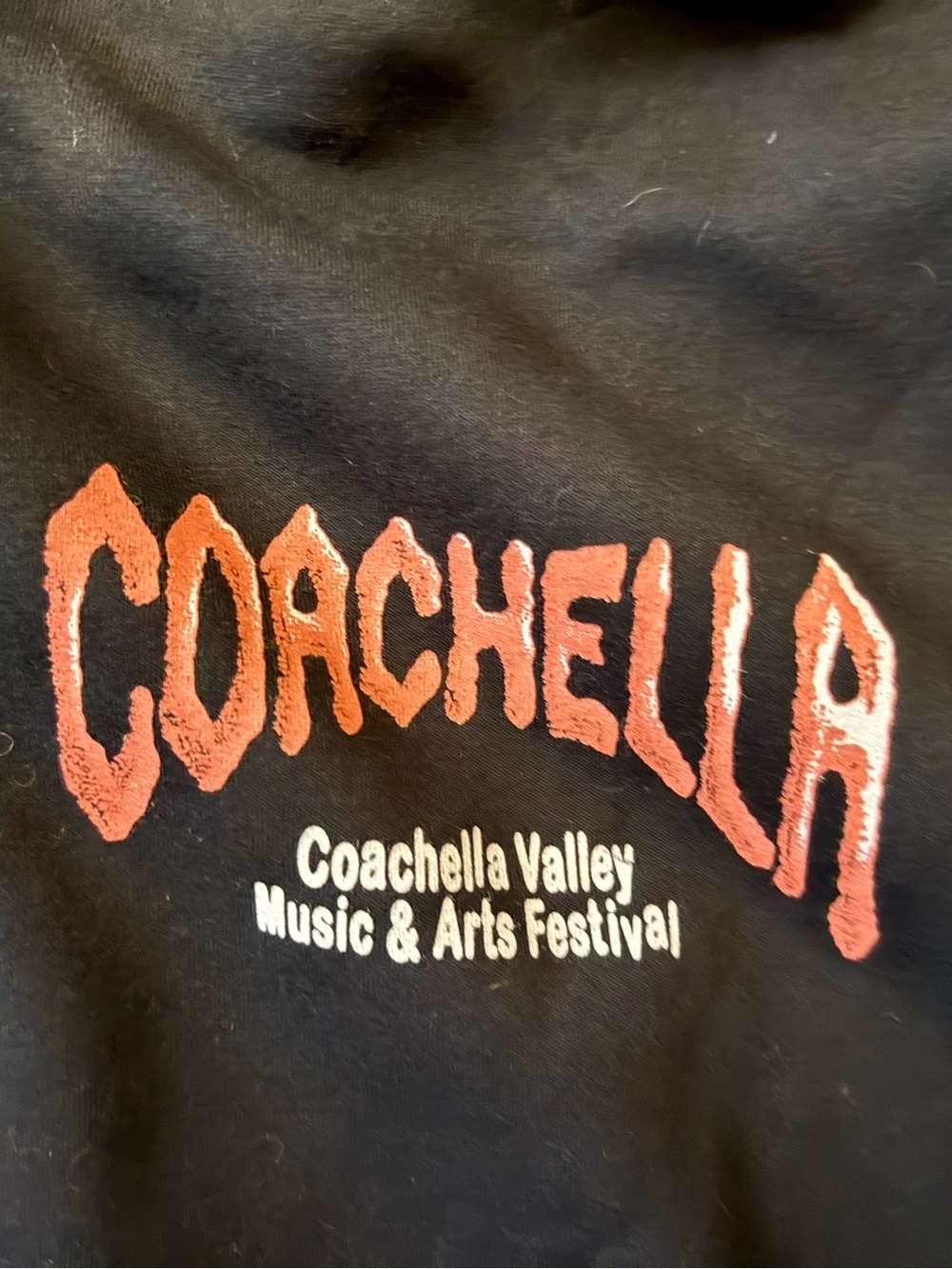 NEW XL UNISEX Coachella Black Graphic Hoodie - Picture 7 of 7